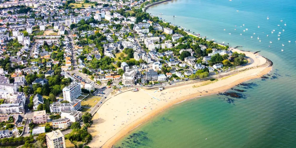 Kwiat Kemping Les Paluvior - Nie.