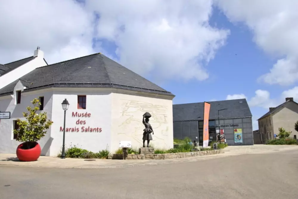 Kwiat Kemping Les Paluvior - Nie.