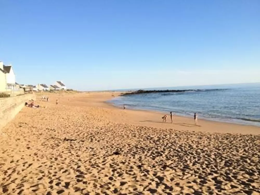 Kwiat Kemping Les Paluvior - Nie.