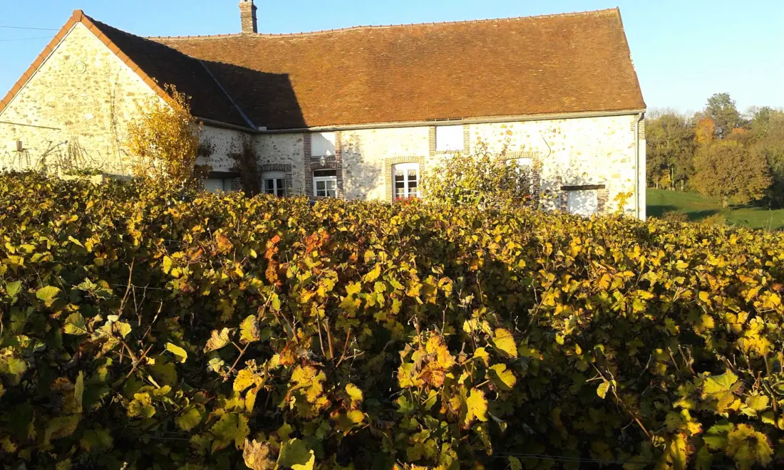Gîte de France Die Reben 3 Ohren