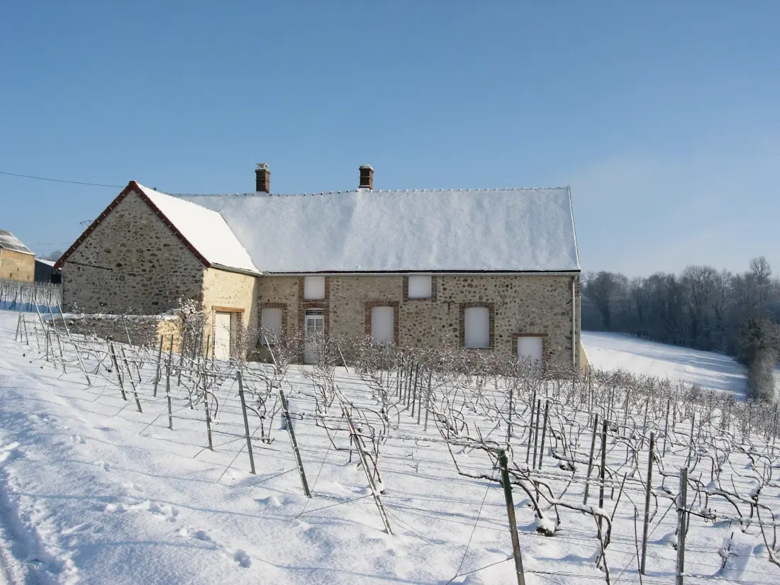 Gîte de France Die Reben 3 Ohren