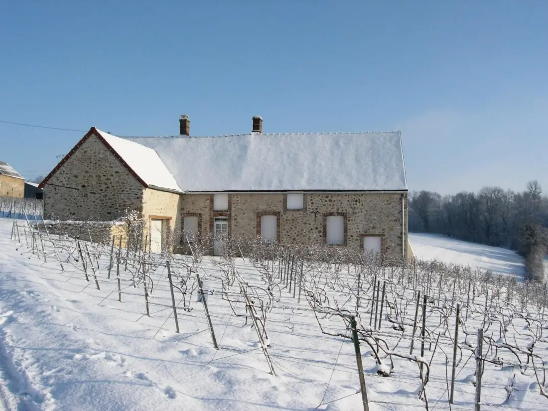 Gîte de France Die Reben 3 Ohren