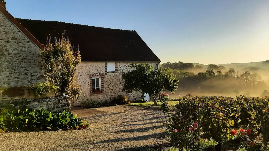 Gîte de France Die Reben 3 Ohren