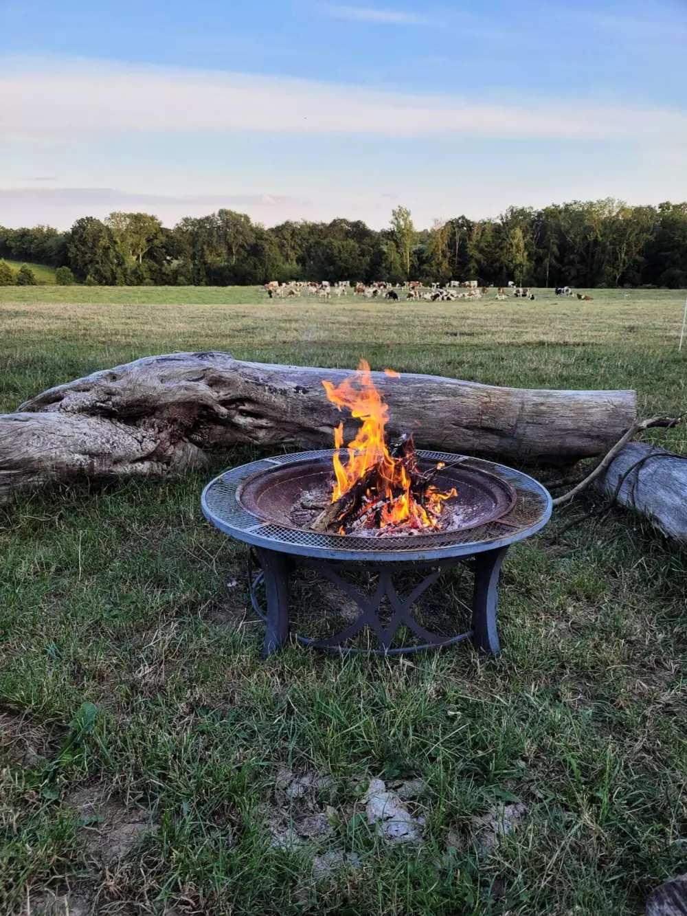 Glamping des 2 Marguerites (Vodatent)