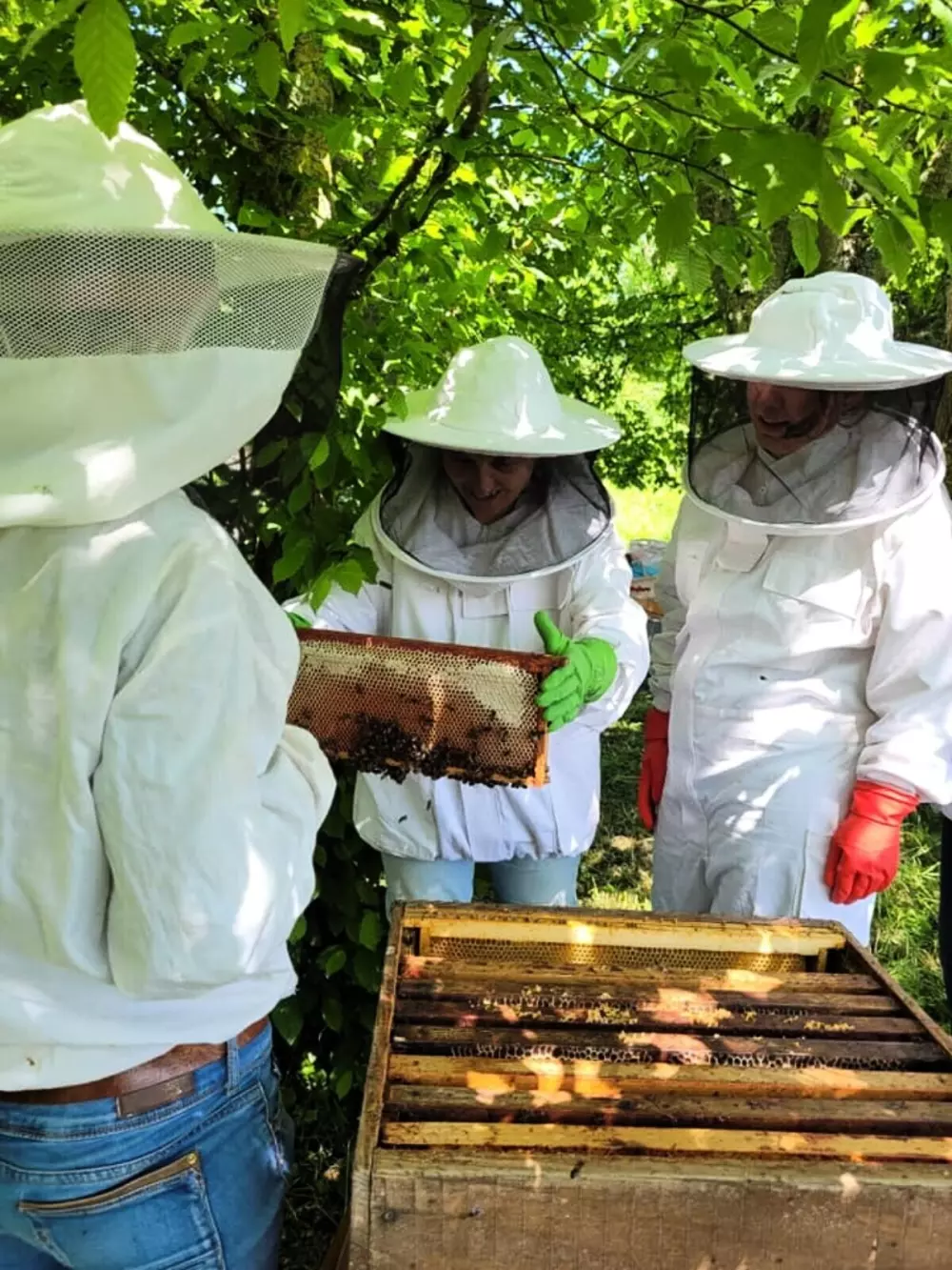 Glamping des 2 Marguerites (Vodatent)