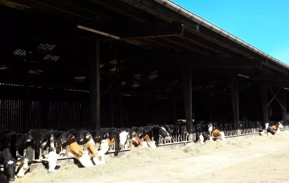 Glamping des 2 Marguerites (Vodatent)