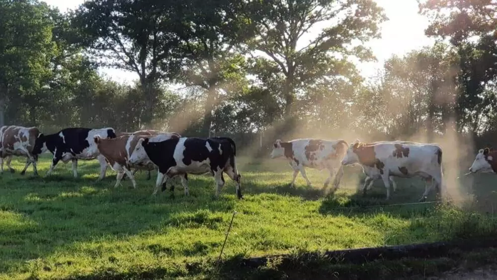 Glamping des 2 Marguerites (Vodatent)