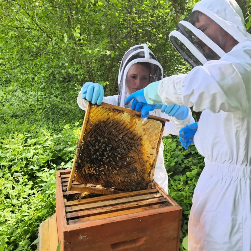 Glamping des 2 Marguerites (Vodatent)