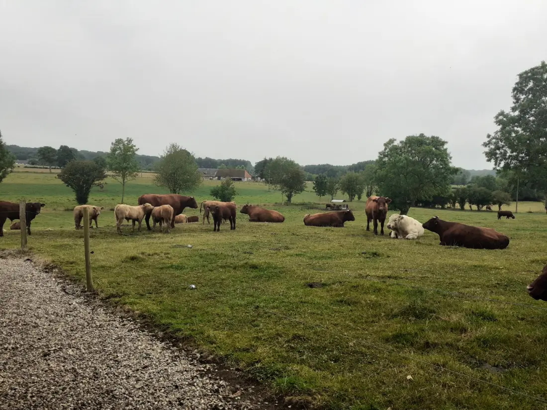 Gîte de France Gîtes de france® - gite de la presle 3 épis