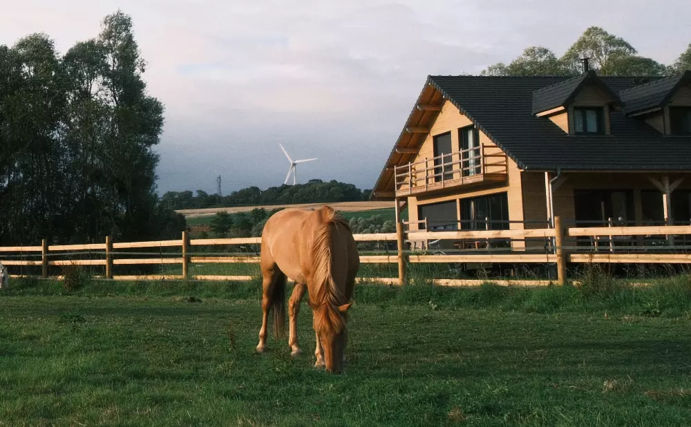 PlaatsGod, veld van campagne