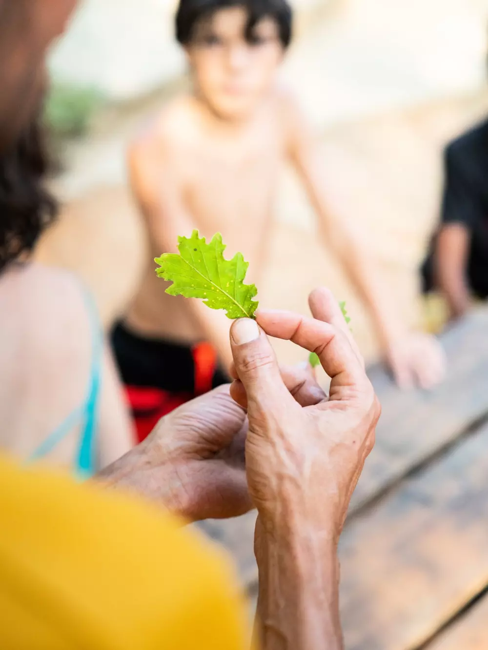 Campsite Ushuaia Villages la Colombière 3 Stars★★★