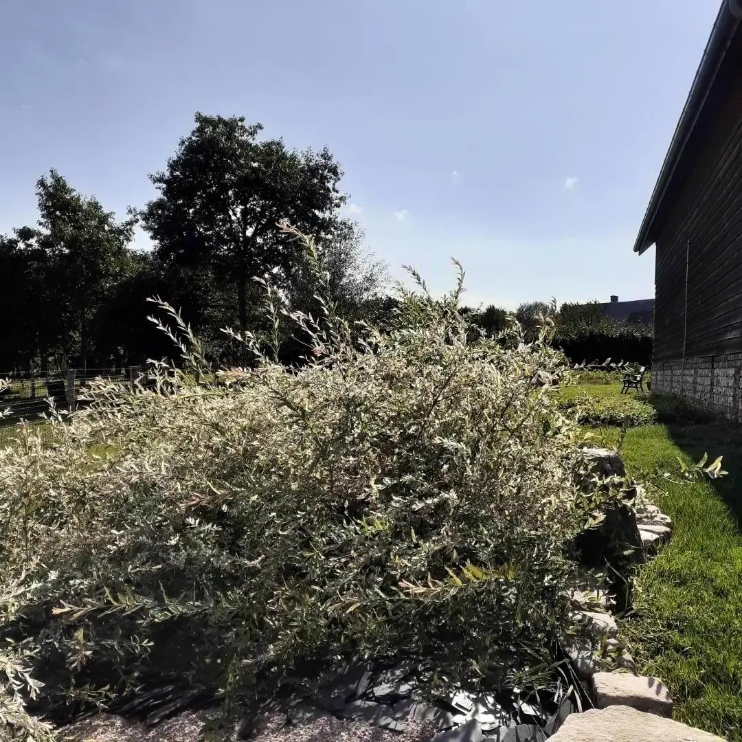 Gîte de France Gîtes de france® - a nyelés 2 fül