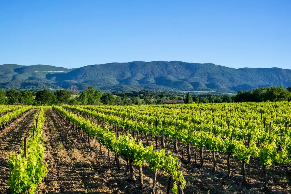 Campsite maeva Sainte-Victoire menekülése 3 Csillagok★★★