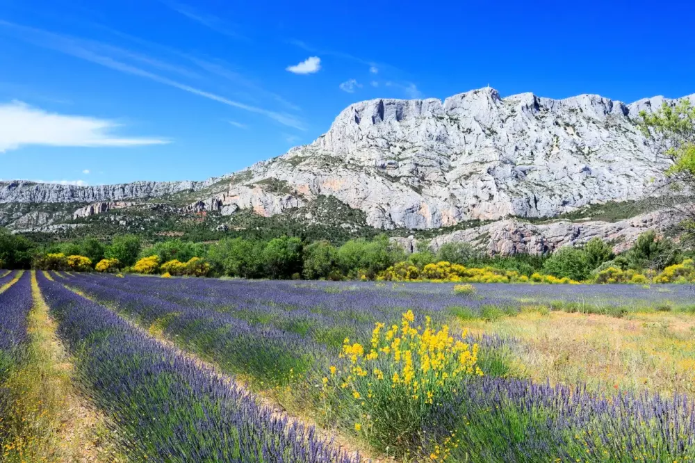 Campsite maeva Sainte-Victoire menekülése 3 Csillagok★★★