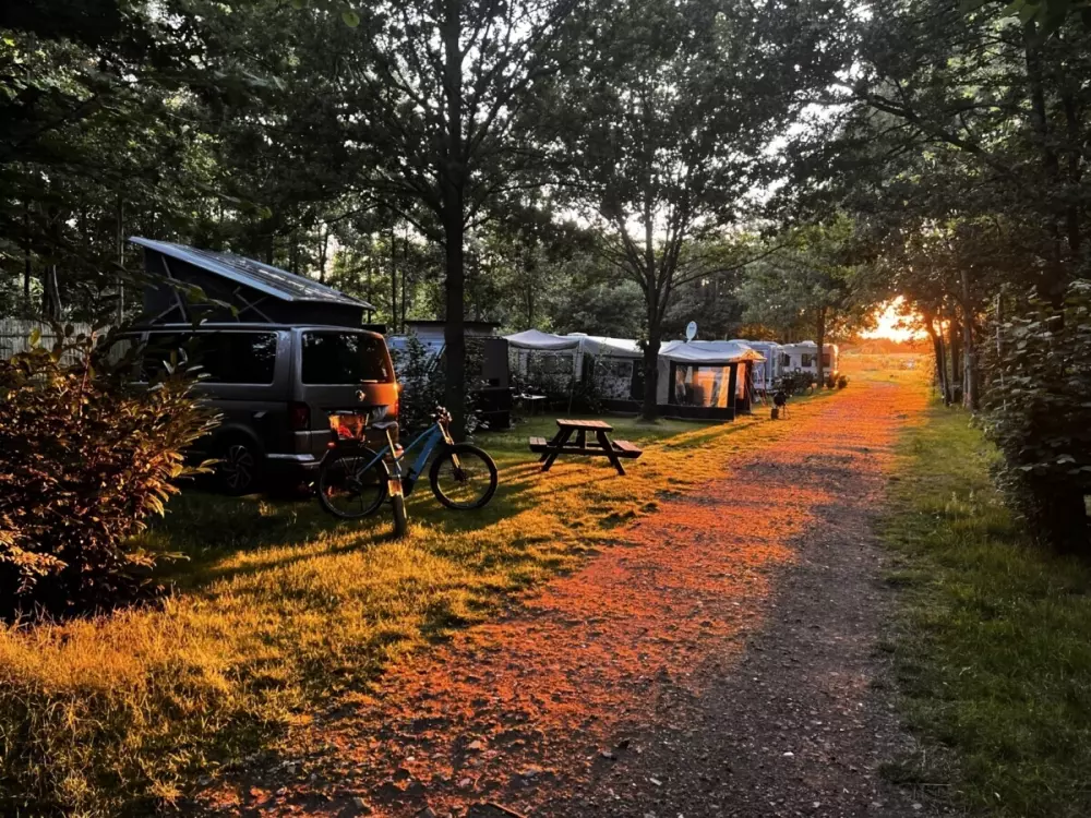Camping de Beerte