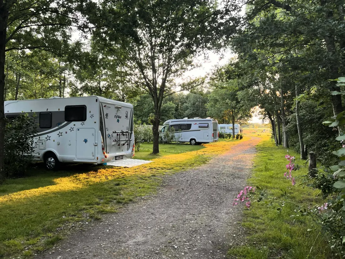 Camping de Beerte