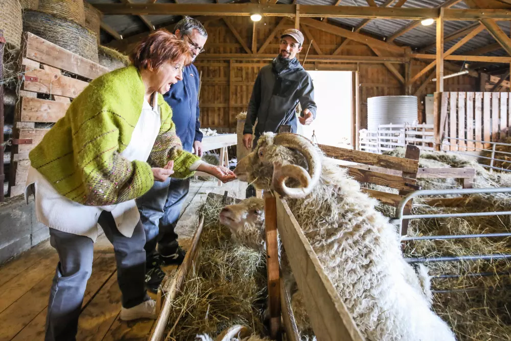 Courneillac - Parcel Tiny House