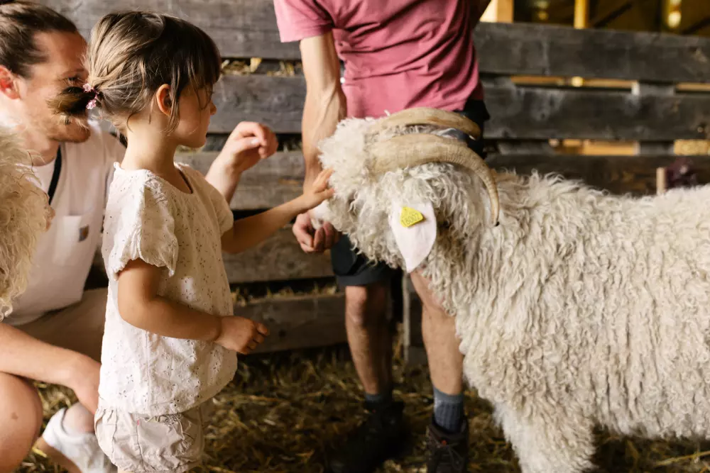 Courneillac - Parcel Tiny House