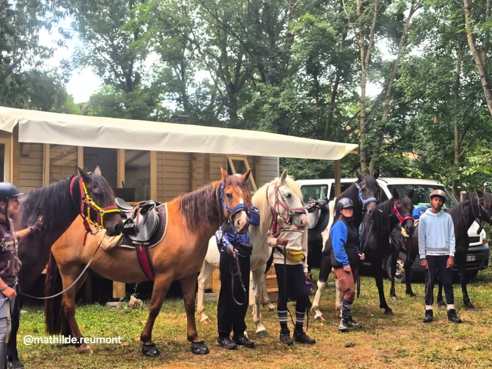 Camping Vert Lavande 3 Stars★★★