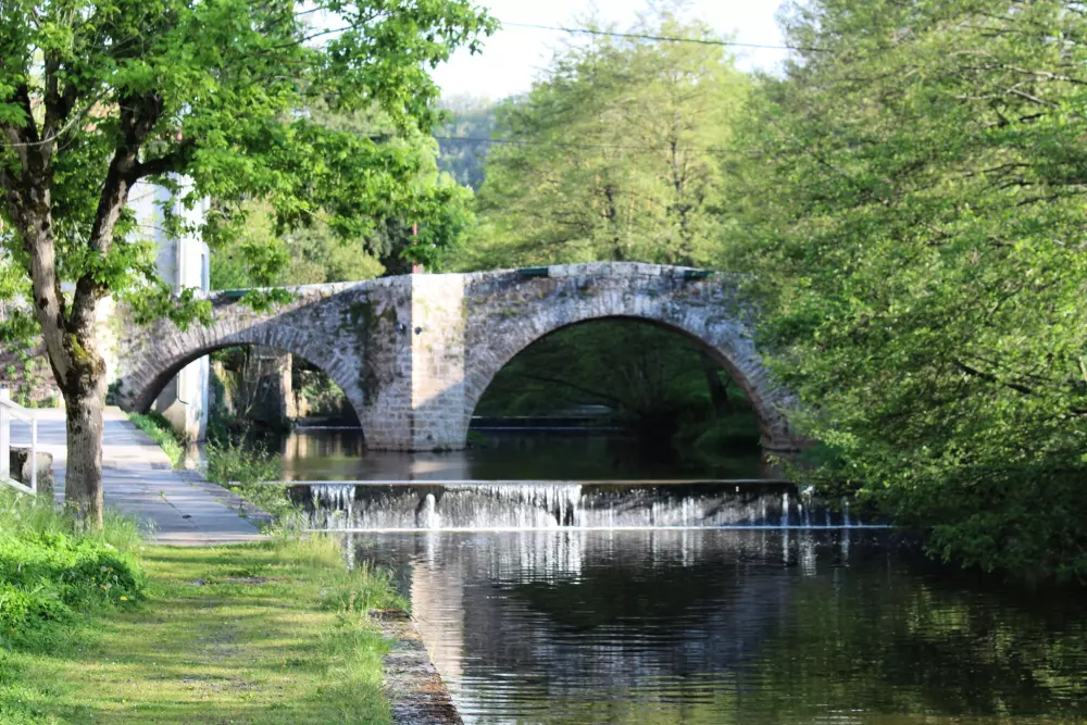 Camping Vert Lavande 3 Stars★★★