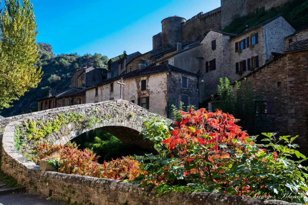 Camping Vert Lavande 3 Stars★★★