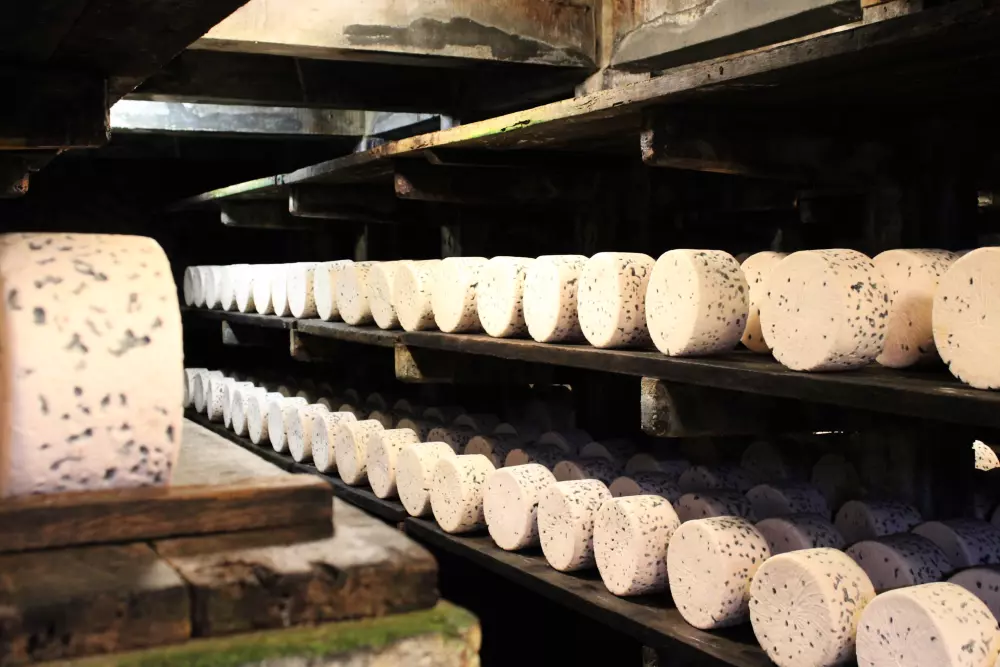 Camping Vert Lavande 3 Stars★★★