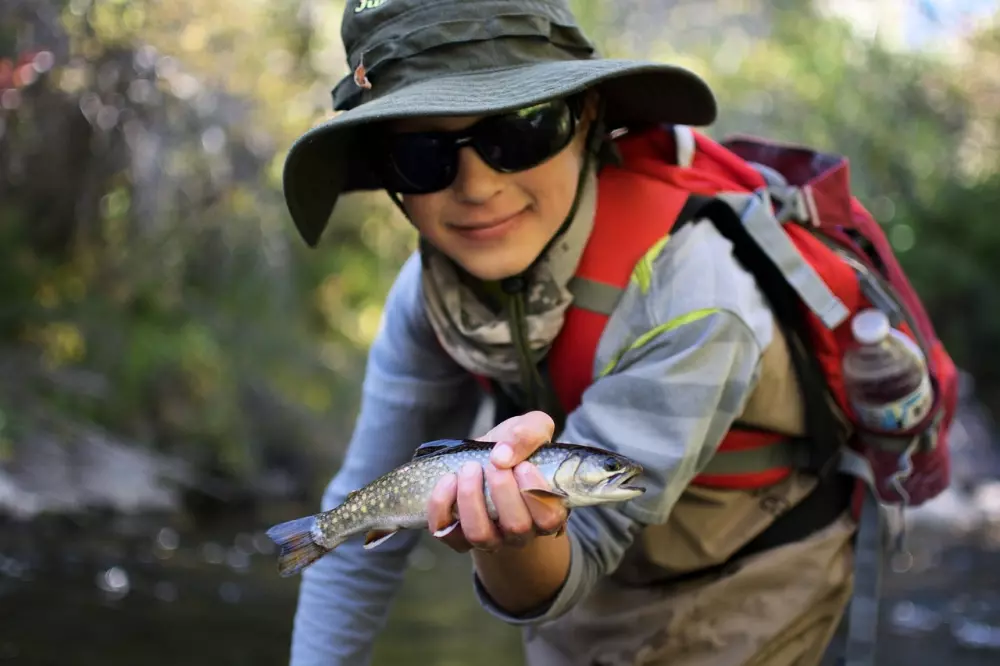 Camping Vert Lavande 3 Stars★★★