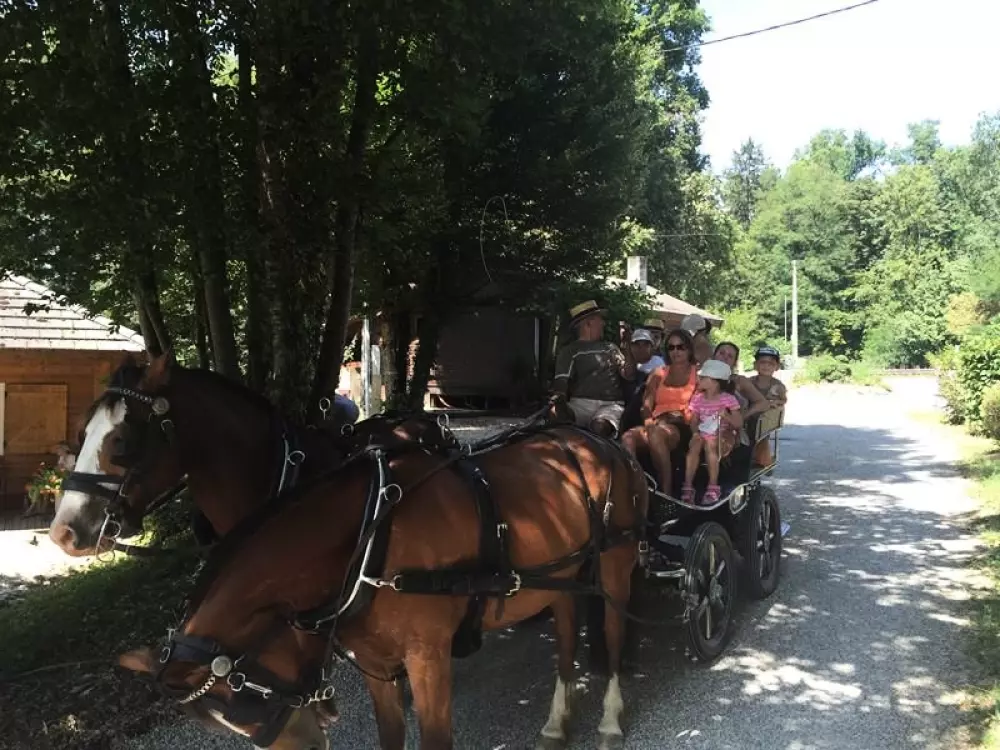 Camping Des 3 Lacs 4 Stelle★★★★