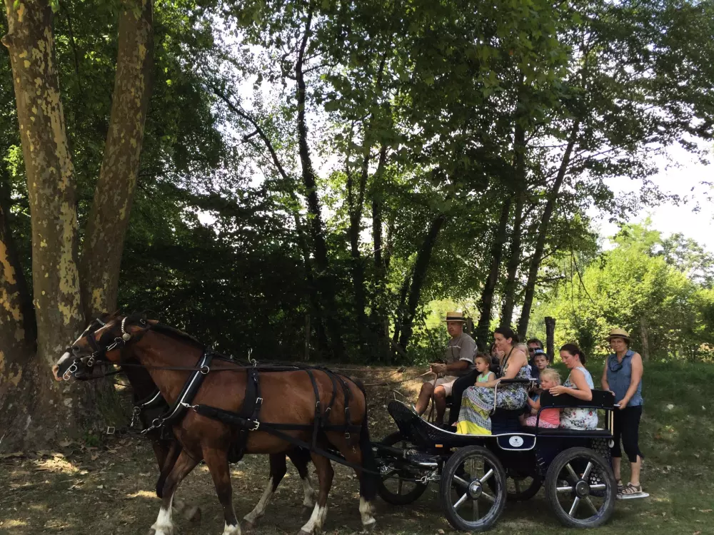 Camping Des 3 Lacs 4 Stelle★★★★
