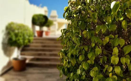 Location de Vacances Benalmádena 74