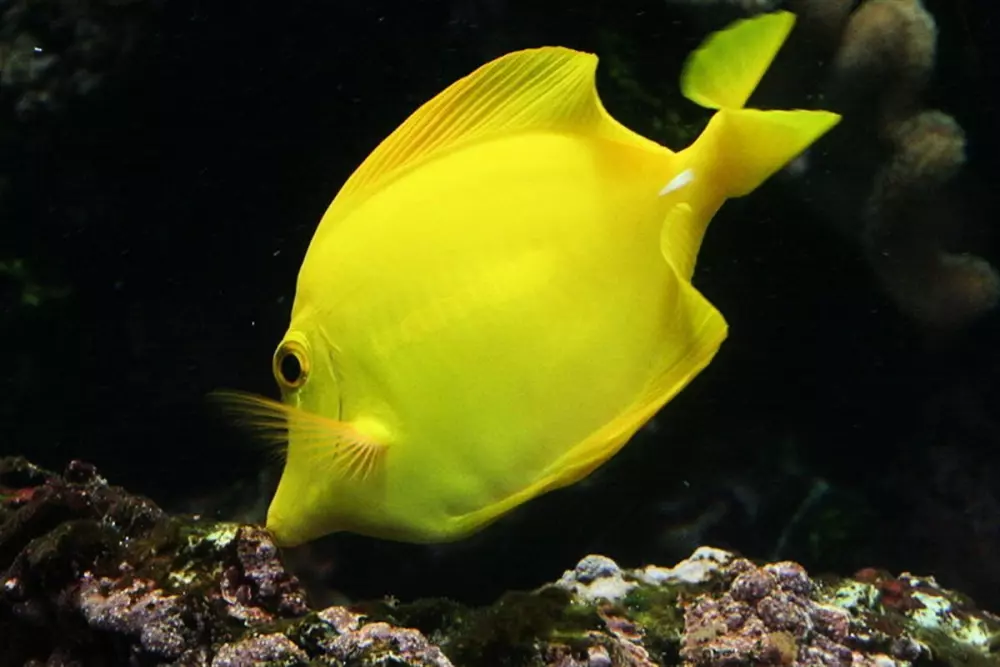 Camping de la Plage4 Sterren★★★★