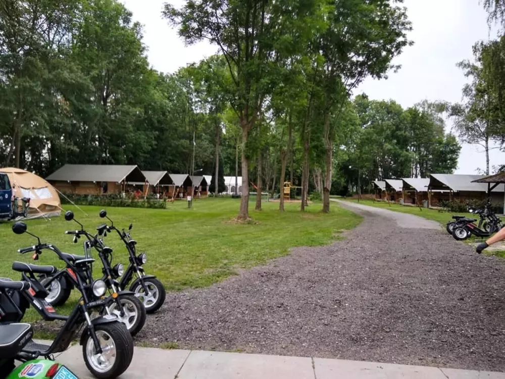 Campingpladser i Tolbrug