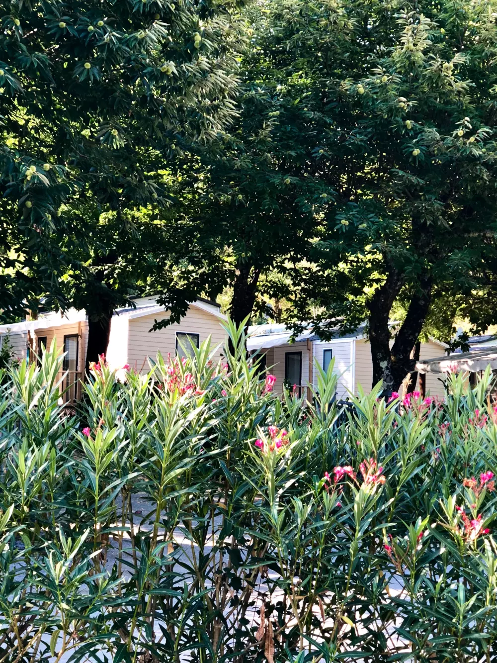 Camping Sunêlia Mazet-Plage 4 Sterne★★★★