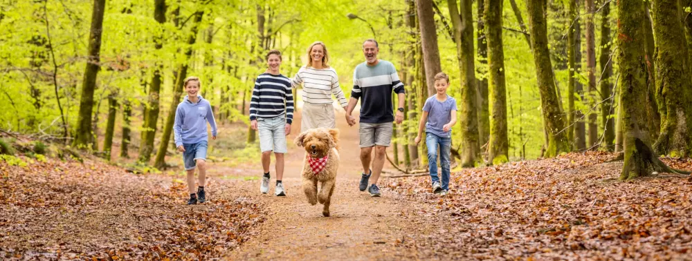 Ardennen Camping Bertrix 4 Stars★★★★