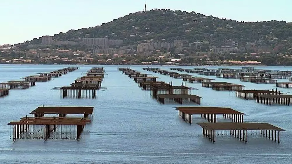 Domaine Sainte Veziane4 Stars★★★★