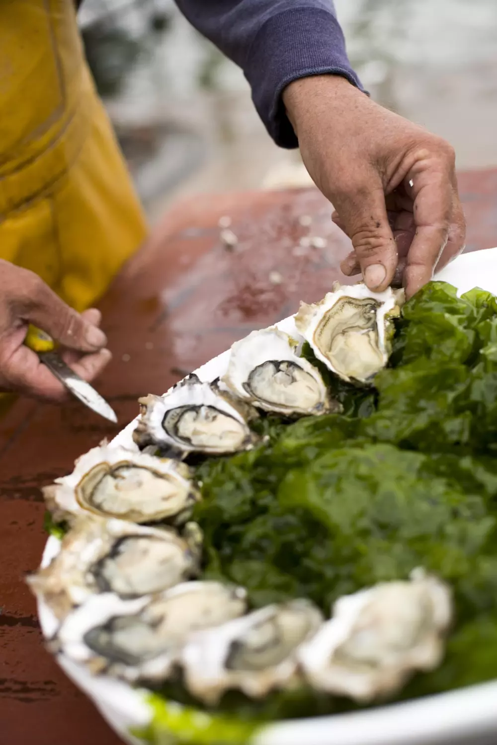 Domaine Sainte Veziane4 Stars★★★★