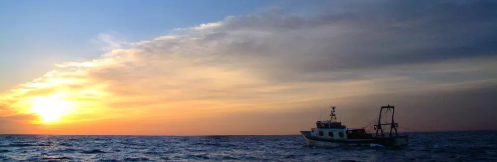 Domaine Sainte Veziane4 Stars★★★★