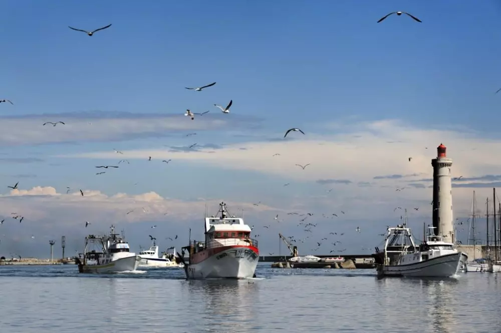 Domaine Sainte Veziane4 Stars★★★★