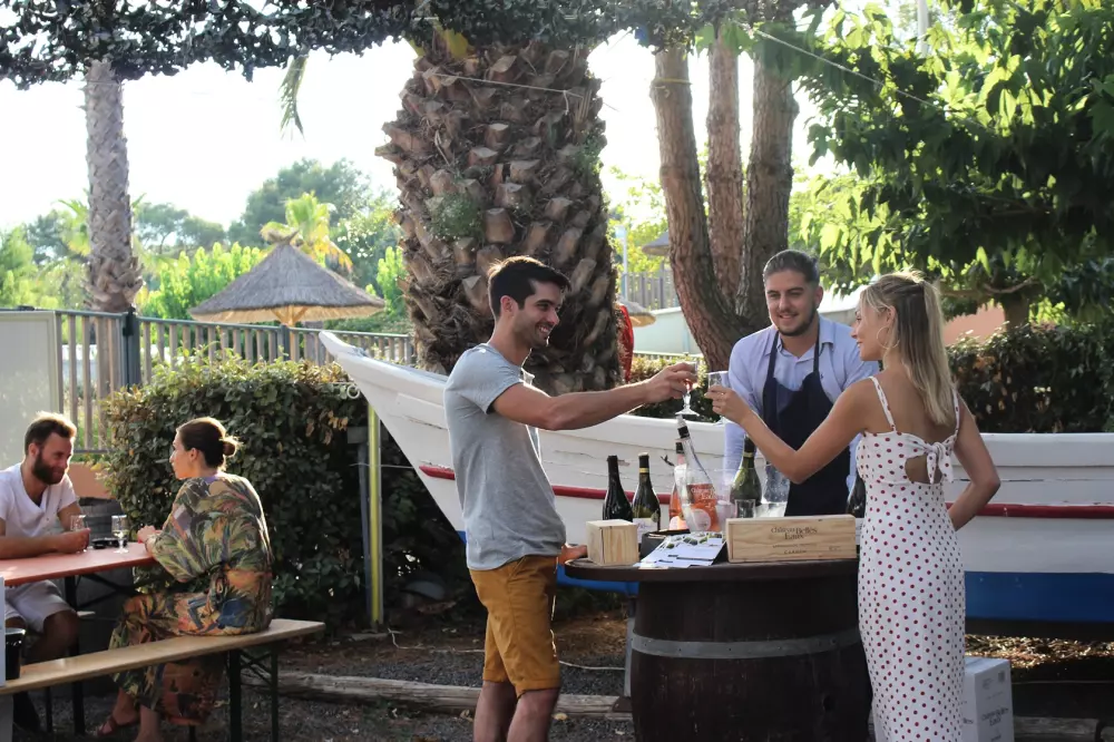 Hoteller i nærheden af Domaine Sainte Véziane Hotel 41 Stjerner★