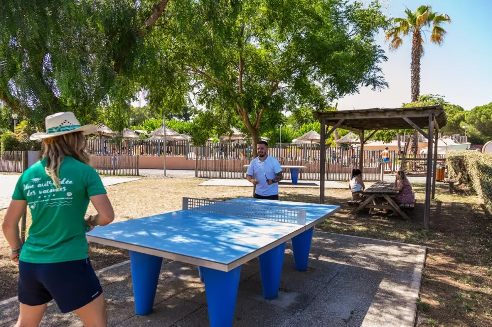 Hoteller i nærheden af Domaine Sainte Véziane Hotel 41 Stjerner★