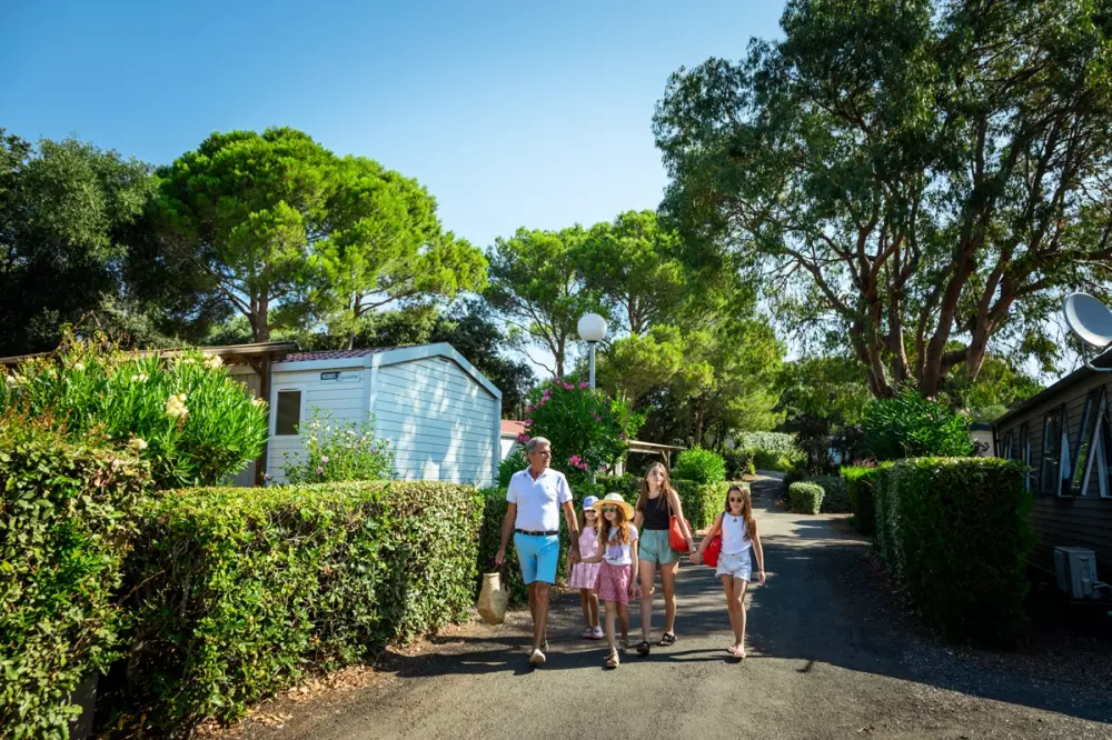 Hoteller i nærheden af Domaine Sainte Véziane Hotel 41 Stjerner★