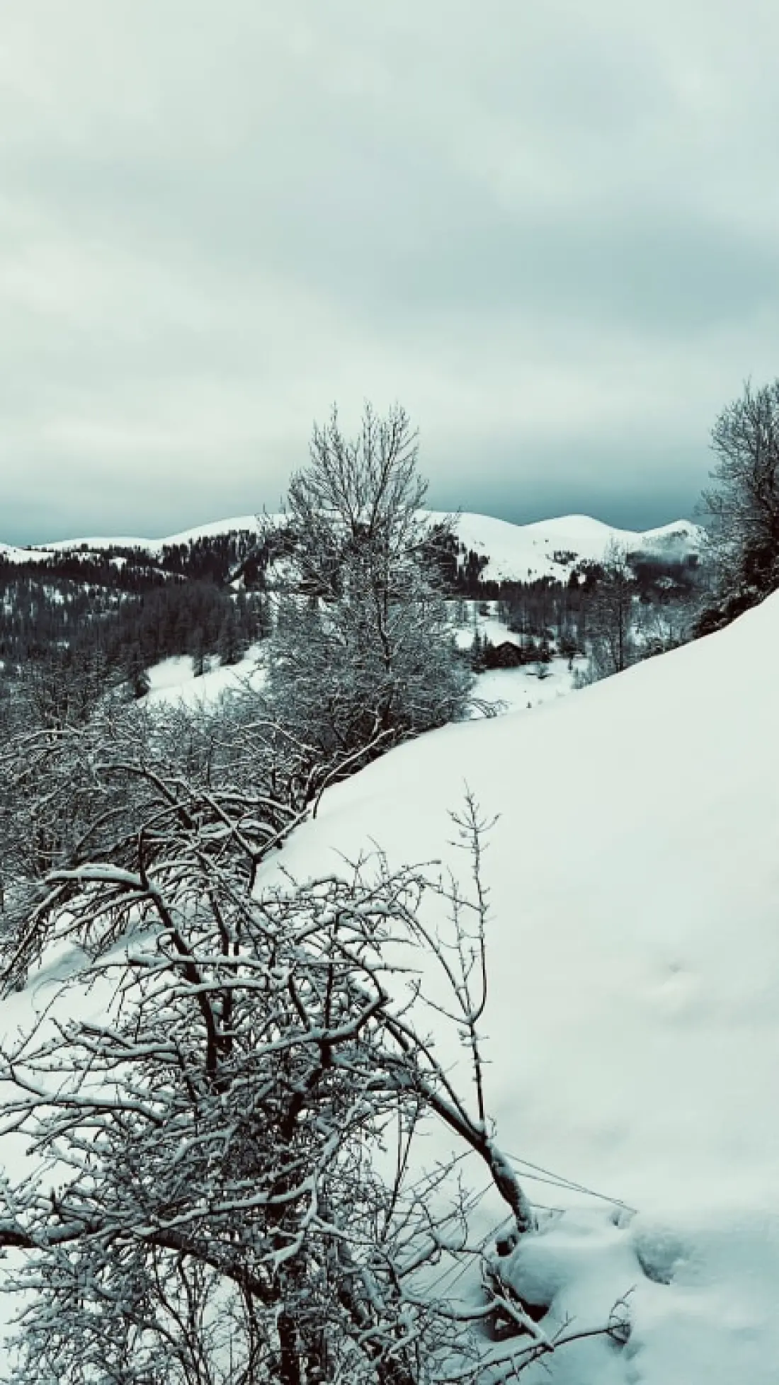 Gyönyörű Grange Eco felelős És Cosy