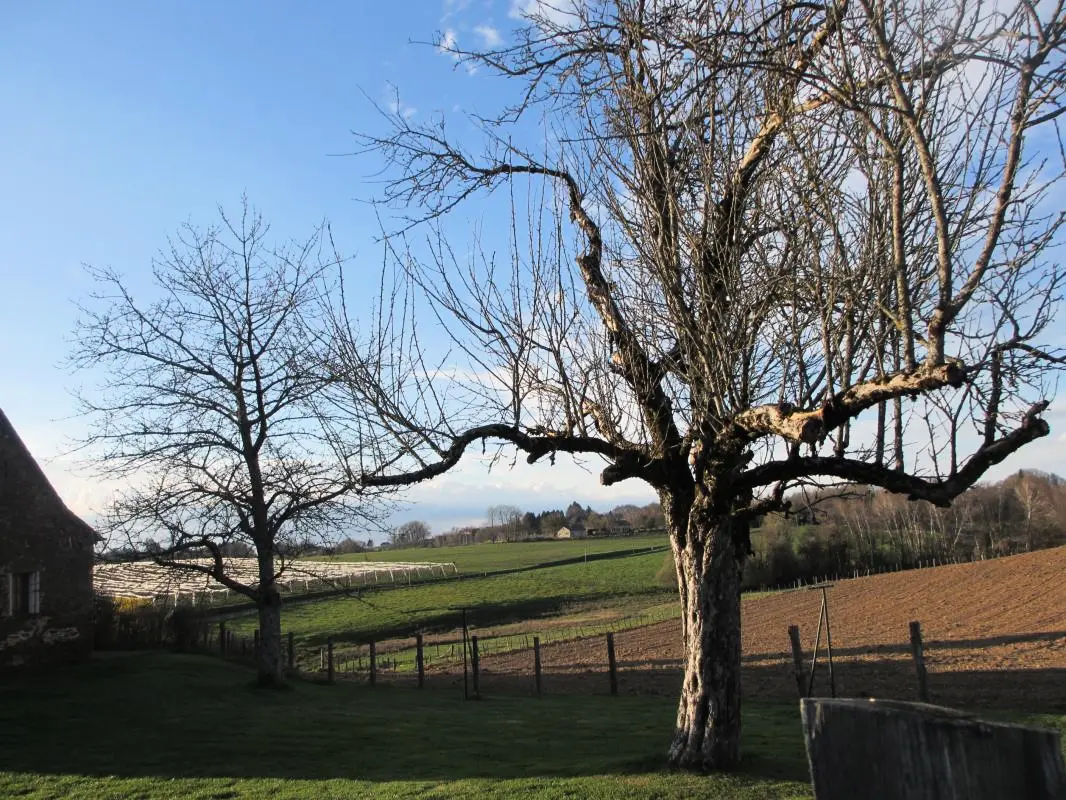 Gîte de France Gite de la genette 3 oren