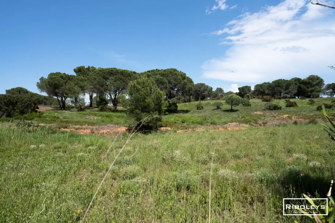 Riboleys - Grand Villa Au Golf De Béziers