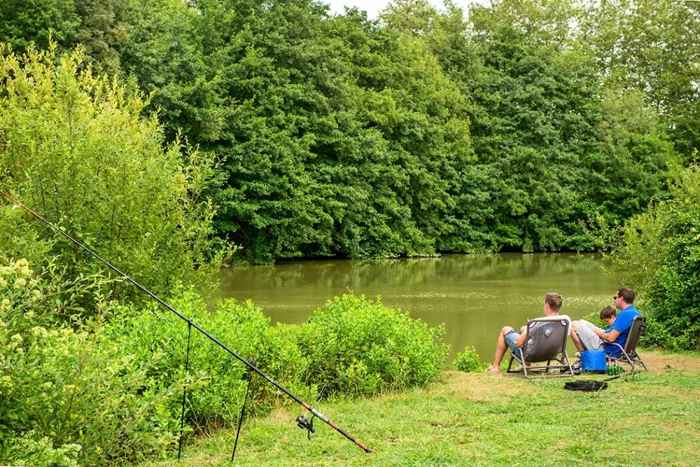 Camping Le Ruisseau des Pyrénées 51 Estrellas★