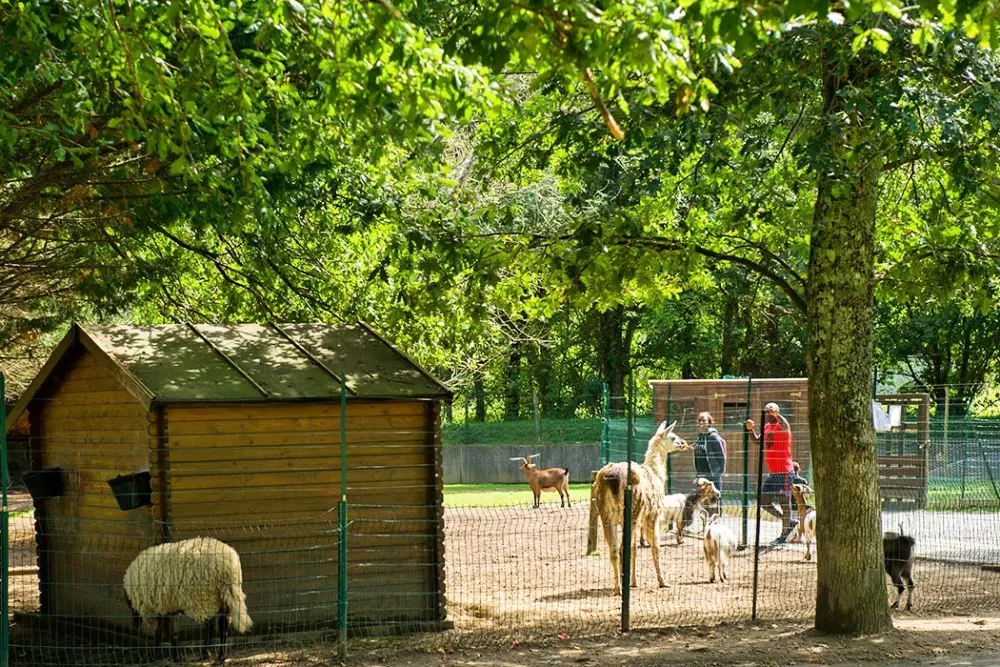 Camping Le Ruisseau des Pyrénées 51 Estrellas★