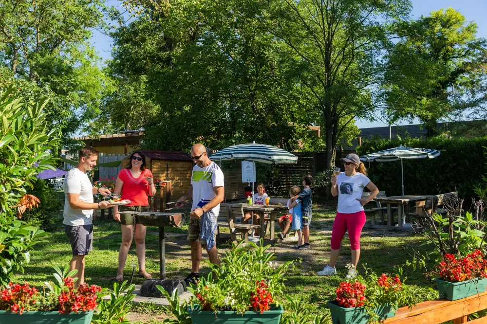 Camping L'Île du Rhin2 Sterren★★