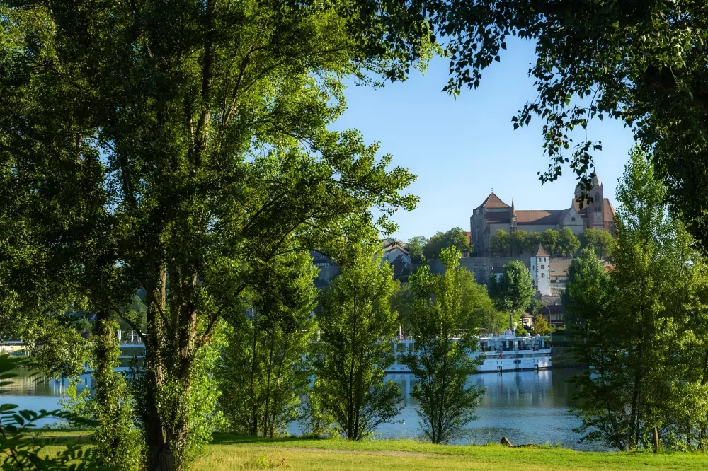 Camping L'Île du Rhin2 Sterren★★