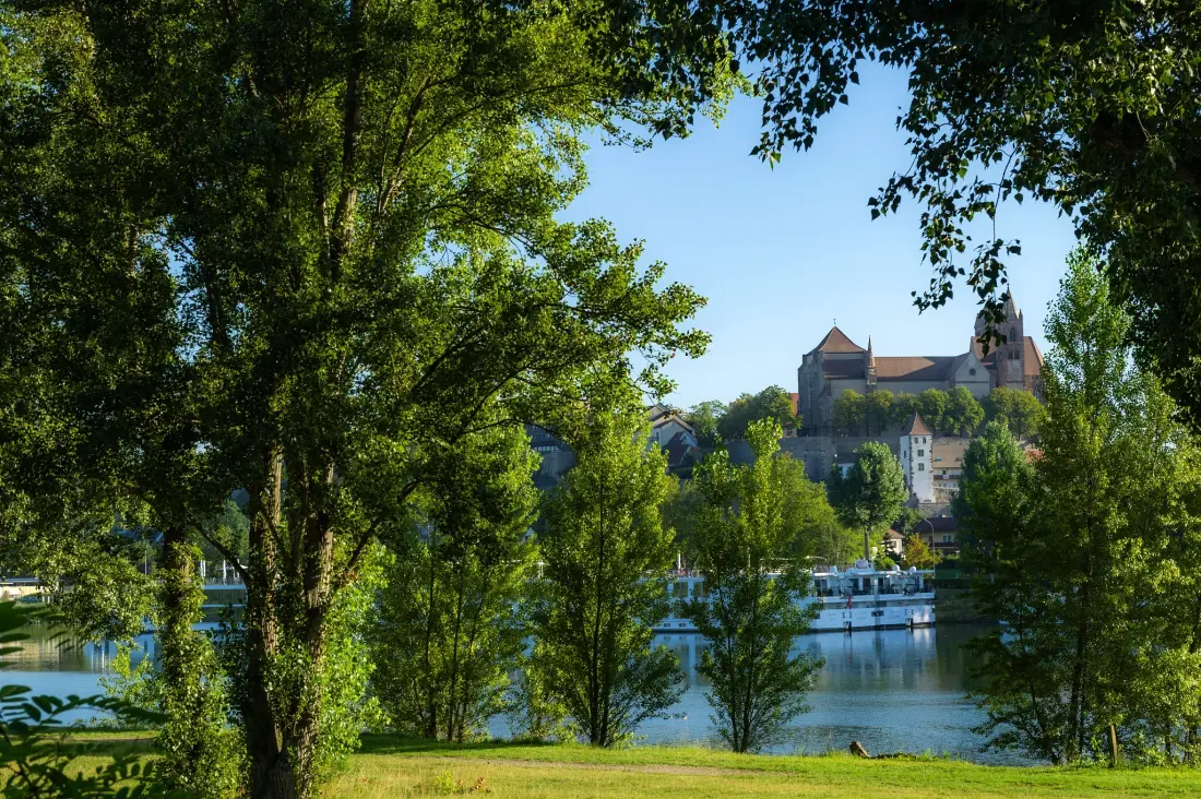 Camping L'Ile du Rhin