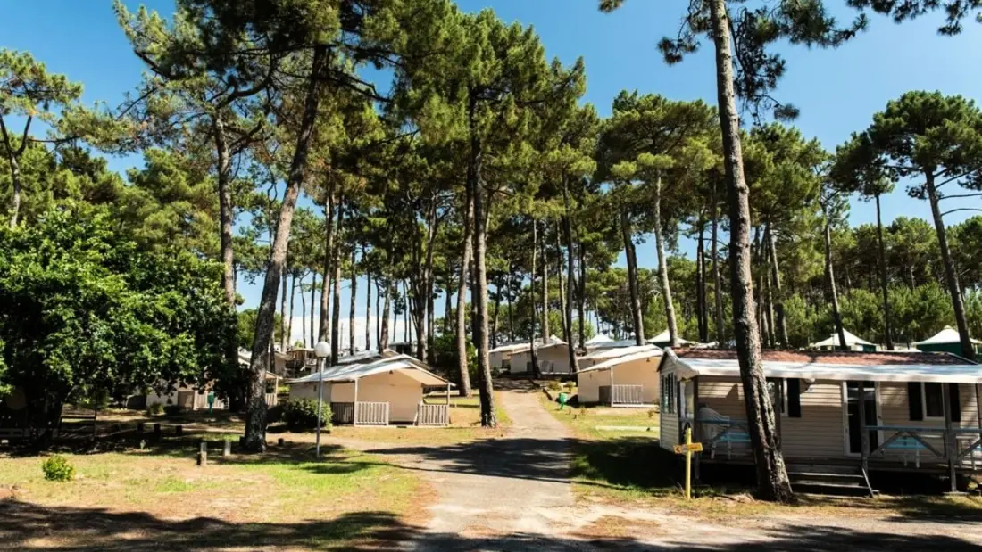 Camping Club Plage Sud 4 Gwiazdy★★★★ 4 Gwiazdy★★★★ 4 Gwiazdy★★★★ 4 Gwiazdy★★★★ - MS Wakacje
